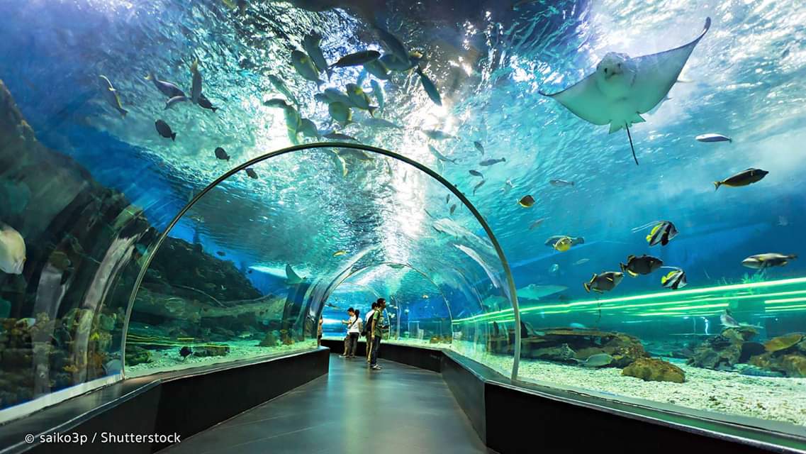 Cebu Ocean Park